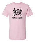 Playera Stray Kids Domin Ate Personalizada Skz